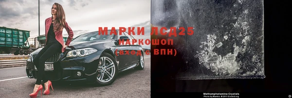 стаф Новодвинск