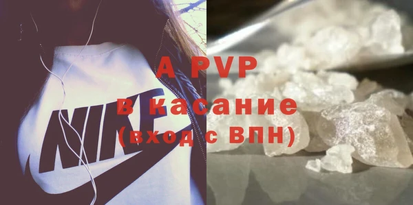 стаф Новодвинск