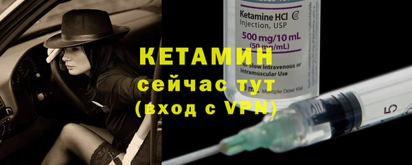стаф Новодвинск