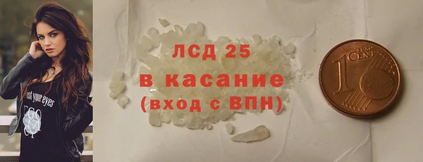 стаф Новодвинск