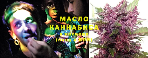 стаф Новодвинск
