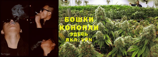 PSILOCYBIN Новокубанск