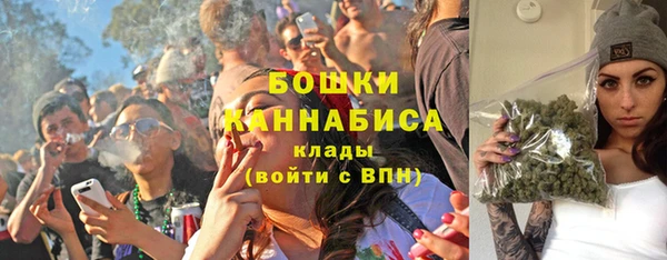 стаф Новодвинск