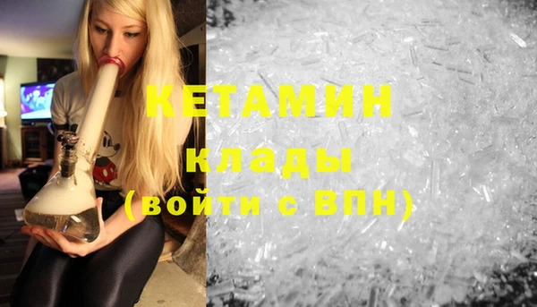 стаф Новодвинск