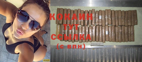 стаф Новодвинск