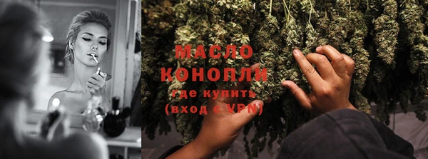стаф Новодвинск