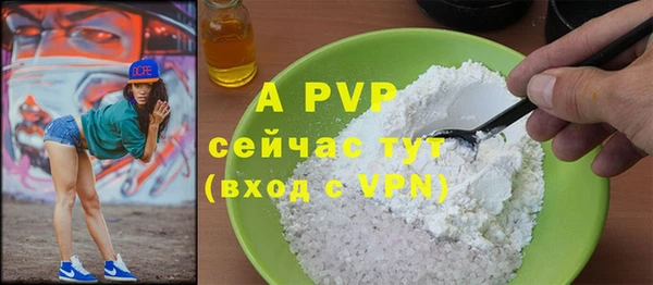 PSILOCYBIN Новокубанск
