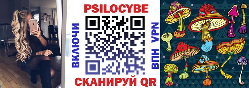 Псилоцибиновые грибы Psilocybe  что такое наркотик  дарк нет формула  Купино 